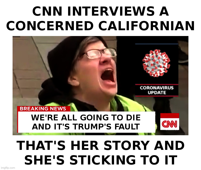 CNN Interviews A Concerned Californian | image tagged in cnn,coronavirus,californians,screaming liberal,jessica,starr | made w/ Imgflip meme maker