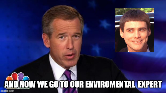 Dumber Expert | AND NOW WE GO TO OUR ENVIROMENTAL  EXPERT | image tagged in news anchor | made w/ Imgflip meme maker