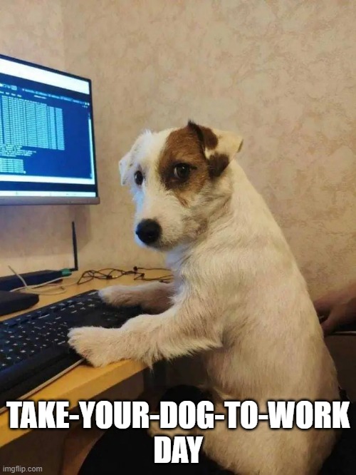 TAKE-YOUR-DOG-TO-WORK DAY | made w/ Imgflip meme maker