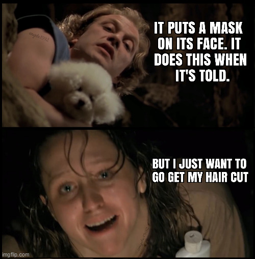 image tagged in buffalo bill,it puts the lotion on the skin,coronavirus,haircut,silence of the lambs,covid-19 | made w/ Imgflip meme maker