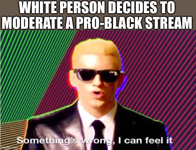Can white people participate in and celebrate black culture? I dunno, ask this guy | WHITE PERSON DECIDES TO MODERATE A PRO-BLACK STREAM | image tagged in somethings wrong,eminem,black,rap,culture,not racist | made w/ Imgflip meme maker
