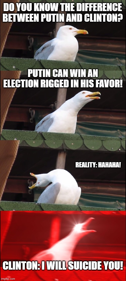 Inhaling Seagull Meme | DO YOU KNOW THE DIFFERENCE BETWEEN PUTIN AND CLINTON? PUTIN CAN WIN AN ELECTION RIGGED IN HIS FAVOR! REALITY: HAHAHA! CLINTON: I WILL SUICID | image tagged in memes,inhaling seagull | made w/ Imgflip meme maker