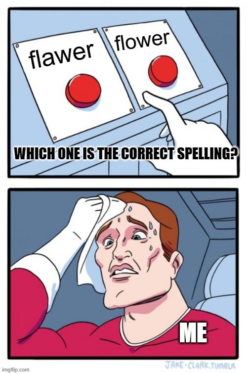 This is how good i am at spellings | image tagged in school meme,bad grammar and spelling memes | made w/ Imgflip meme maker