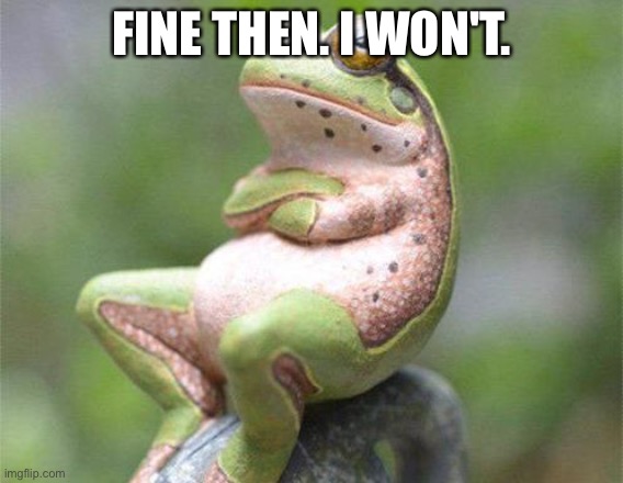 frog crossed arms | FINE THEN. I WON'T. | image tagged in frog crossed arms | made w/ Imgflip meme maker