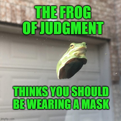 The Frog of Judgment things you should be wearing a mask | THE FROG OF JUDGMENT; THINKS YOU SHOULD BE WEARING A MASK | image tagged in frog of judgment,memes | made w/ Imgflip meme maker