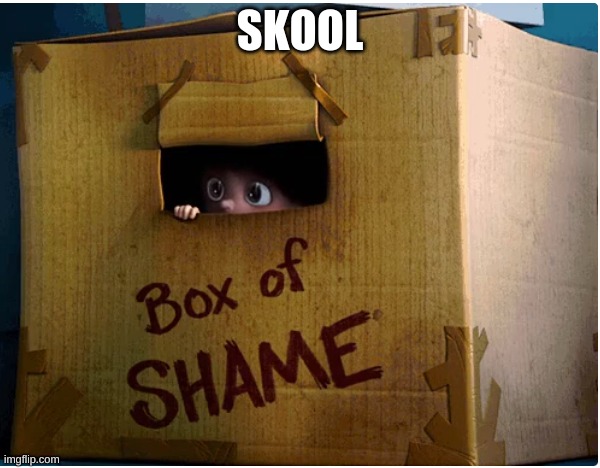 box of shame | SKOOL | image tagged in box of shame,memes | made w/ Imgflip meme maker