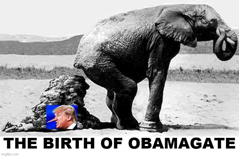 This Pinocchio is not made of wood. Trump flails around, desperately trying to change the subject, looking for someone to blame. | THE BIRTH OF OBAMAGATE | image tagged in gop republican trump fox news,obama,good,trump,incompetence,liar | made w/ Imgflip meme maker