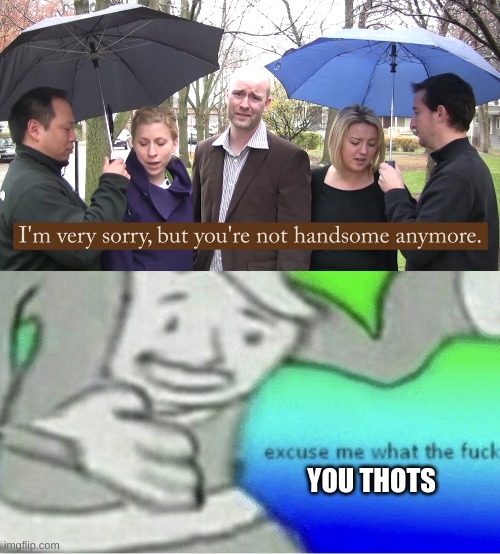 dem thots |  YOU THOTS | image tagged in excuse me wtf blank template | made w/ Imgflip meme maker