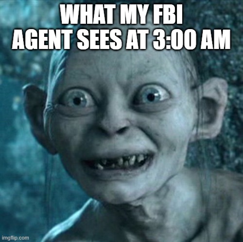 my fbi agent has seen some crazy stuff | WHAT MY FBI AGENT SEES AT 3:00 AM | image tagged in memes,gollum | made w/ Imgflip meme maker