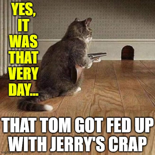 That's all I can stand and I can't stands no more | YES, IT WAS THAT VERY DAY... THAT TOM GOT FED UP
WITH JERRY'S CRAP | image tagged in vince vance,tom and jerry,funny cat memes,cat with gun,cat and mouse,new memes | made w/ Imgflip meme maker