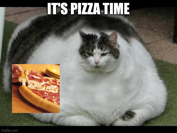 fat cat 2 | IT'S PIZZA TIME | image tagged in fat cat 2 | made w/ Imgflip meme maker