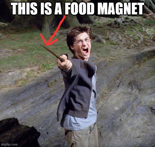 Harry Potter's Food Magnet | THIS IS A FOOD MAGNET | image tagged in harry potter,food,magnet | made w/ Imgflip meme maker