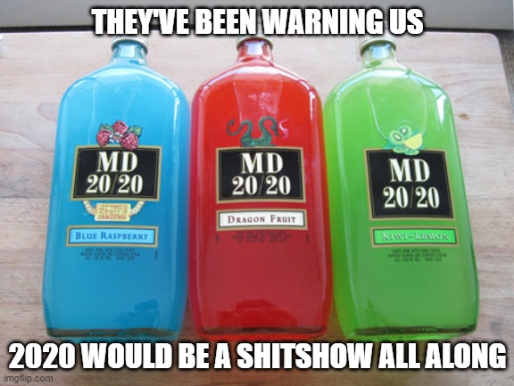2020 | THEY'VE BEEN WARNING US; 2020 WOULD BE A SHITSHOW ALL ALONG | image tagged in 2020 mad dog mg 20/20 | made w/ Imgflip meme maker