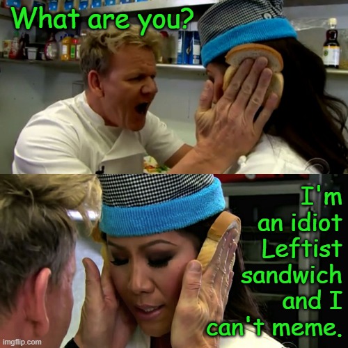 Get out of my kitchen and back to the politicsTOO stream. | I'm an idiot Leftist sandwich and I can't meme. What are you? | image tagged in gordon ramsay idiot sandwich | made w/ Imgflip meme maker