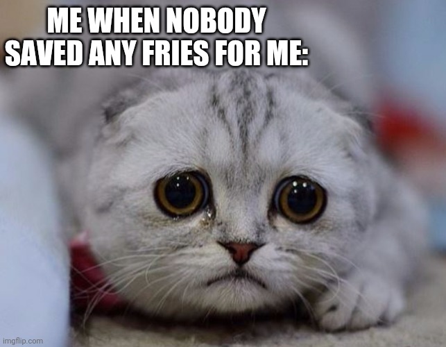 :'( | ME WHEN NOBODY SAVED ANY FRIES FOR ME: | image tagged in sad kitty | made w/ Imgflip meme maker