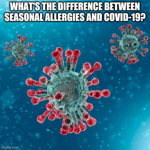 Covid-19 Coronavirus | WHAT'S THE DIFFERENCE BETWEEN SEASONAL ALLERGIES AND COVID-19? | image tagged in covid-19 coronavirus | made w/ Imgflip meme maker