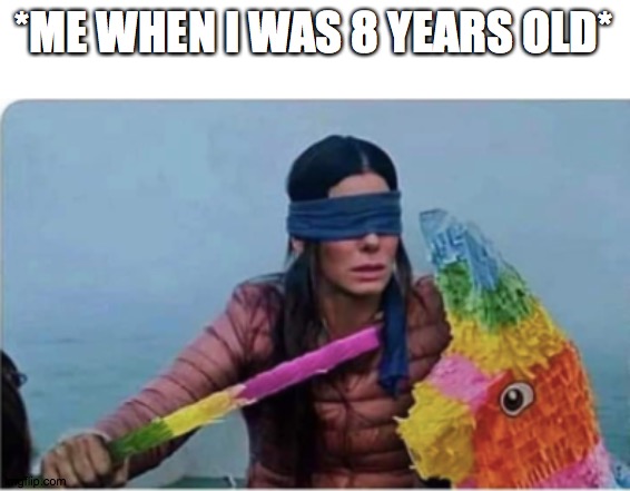 Brid Box memes | *ME WHEN I WAS 8 YEARS OLD* | image tagged in bird box,pinata | made w/ Imgflip meme maker