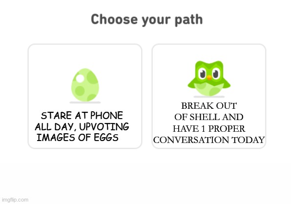 Even Duolingo has skippable tutorials, what's your excuse pokemón | BREAK OUT OF SHELL AND HAVE 1 PROPER CONVERSATION TODAY; STARE AT PHONE ALL DAY, UPVOTING IMAGES OF EGGS | image tagged in duolingo,egg | made w/ Imgflip meme maker