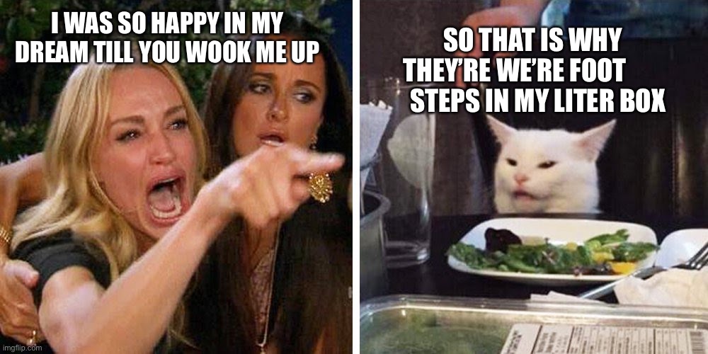 Smudge the cat | I WAS SO HAPPY IN MY DREAM TILL YOU WOOK ME UP; SO THAT IS WHY THEY’RE WE’RE FOOT           STEPS IN MY LITER BOX | image tagged in smudge the cat | made w/ Imgflip meme maker