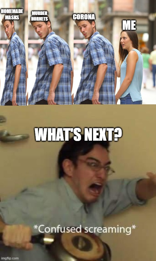 HOMEMADE MASKS; MURDER HORNETS; CORONA; ME; WHAT'S NEXT? | image tagged in memes,distracted boyfriend,filthy frank confused scream | made w/ Imgflip meme maker