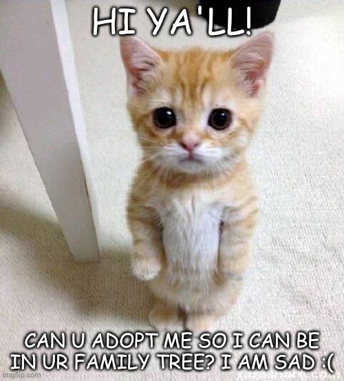 please? | HI YA'LL! CAN U ADOPT ME SO I CAN BE IN UR FAMILY TREE? I AM SAD :( | image tagged in memes,cute cat | made w/ Imgflip meme maker