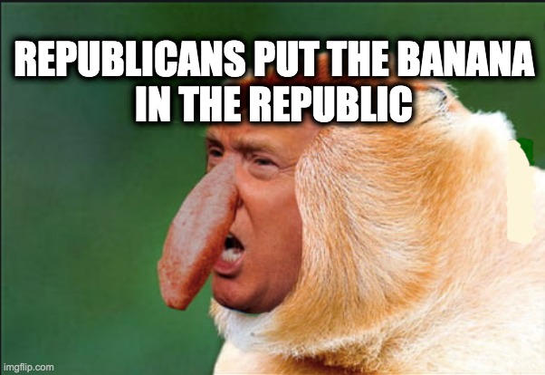 REPUBLICANS PUT THE BANANA
IN THE REPUBLIC | image tagged in memes,republicans,gop,trump,usa banana republic | made w/ Imgflip meme maker
