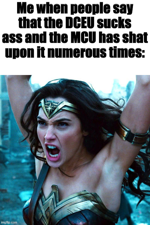 Me when people say that the DCEU sucks ass and the MCU has shat upon it numerous times: | image tagged in wonder woman,dceu forever | made w/ Imgflip meme maker