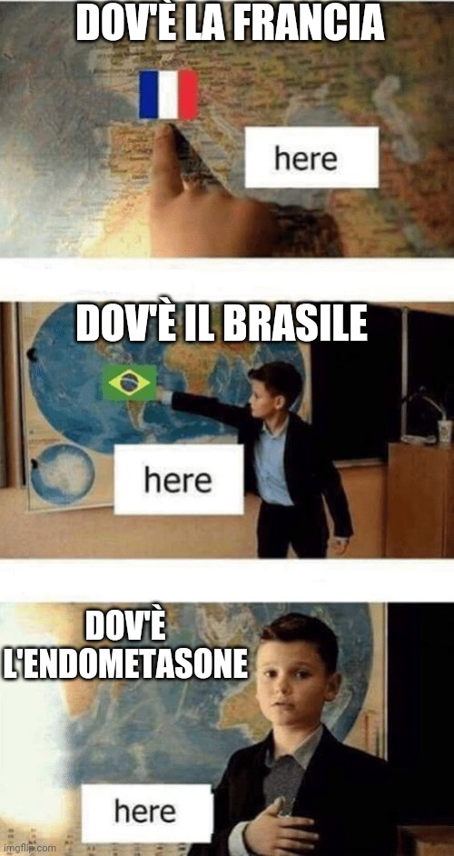 Where is | DOV'È LA FRANCIA; DOV'È IL BRASILE; DOV'È L'ENDOMETASONE | image tagged in where is | made w/ Imgflip meme maker
