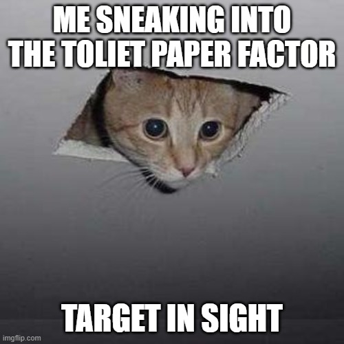 Ceiling Cat | ME SNEAKING INTO THE TOLIET PAPER FACTOR; TARGET IN SIGHT | image tagged in memes,ceiling cat | made w/ Imgflip meme maker