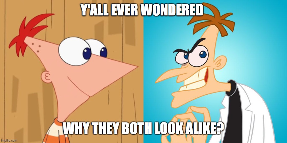 Y'ALL EVER WONDERED; WHY THEY BOTH LOOK ALIKE? | image tagged in phineas and ferb,memes,funn | made w/ Imgflip meme maker