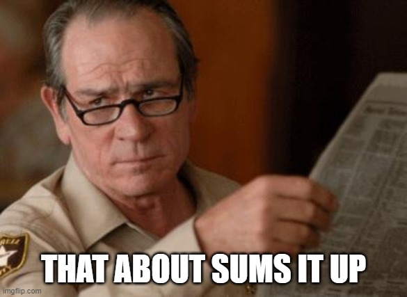 Tommy Lee Jones | THAT ABOUT SUMS IT UP | image tagged in tommy lee jones | made w/ Imgflip meme maker