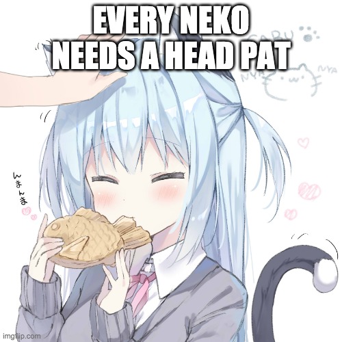 Nekogirl | EVERY NEKO NEEDS A HEAD PAT | image tagged in nekogirl | made w/ Imgflip meme maker