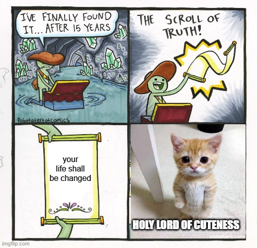 The Scroll Of Truth Meme | your life shall be changed; HOLY LORD OF CUTENESS | image tagged in memes,the scroll of truth | made w/ Imgflip meme maker