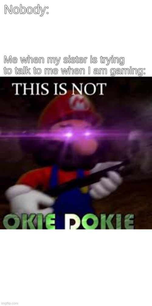 This is not okie dokie | Nobody:; Me when my sister is trying to talk to me when I am gaming: | image tagged in this is not okie dokie | made w/ Imgflip meme maker