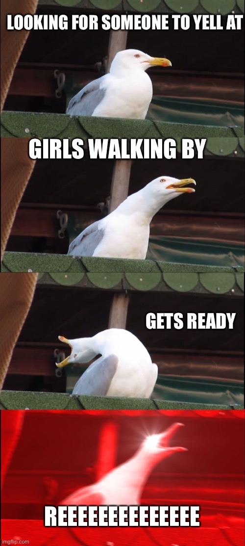 Reee bird | LOOKING FOR SOMEONE TO YELL AT; GIRLS WALKING BY; GETS READY; REEEEEEEEEEEEEE | image tagged in memes,inhaling seagull | made w/ Imgflip meme maker