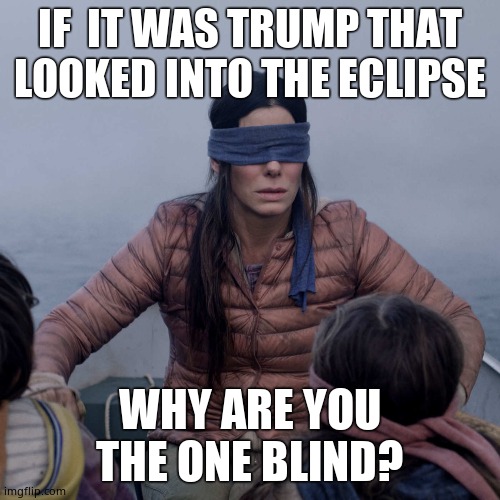Bird Box Meme | IF  IT WAS TRUMP THAT LOOKED INTO THE ECLIPSE WHY ARE YOU THE ONE BLIND? | image tagged in memes,bird box | made w/ Imgflip meme maker