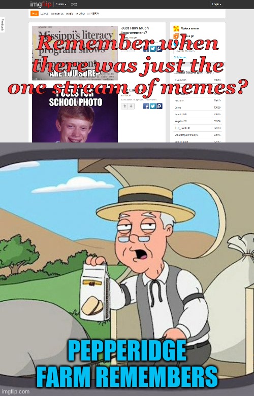Man I miss those days | Remember when there was just the one stream of memes? PEPPERIDGE FARM REMEMBERS | image tagged in memes,pepperidge farm remembers | made w/ Imgflip meme maker