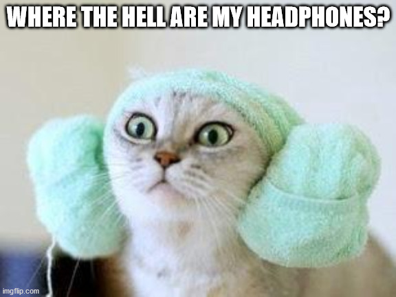 Cat With Ear Muffs. | WHERE THE HELL ARE MY HEADPHONES? | image tagged in cat with ear muffs | made w/ Imgflip meme maker