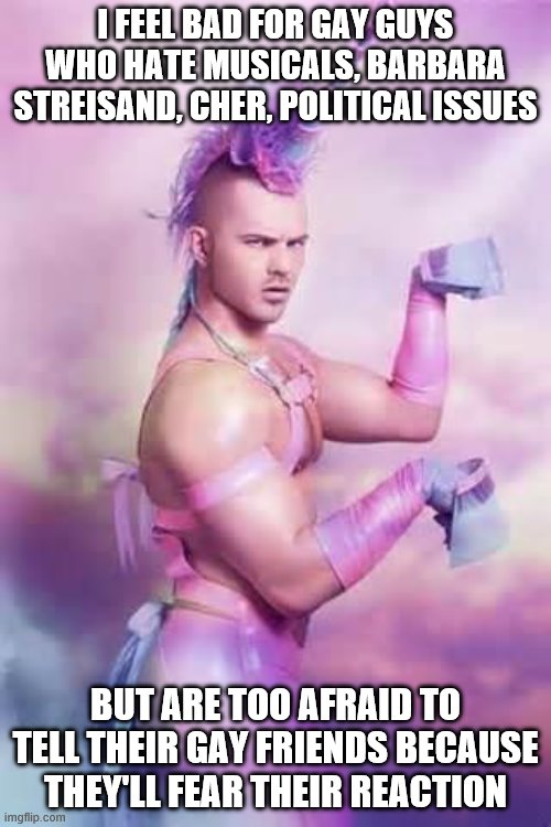 Gay Unicorn | I FEEL BAD FOR GAY GUYS WHO HATE MUSICALS, BARBARA STREISAND, CHER, POLITICAL ISSUES; BUT ARE TOO AFRAID TO TELL THEIR GAY FRIENDS BECAUSE THEY'LL FEAR THEIR REACTION | image tagged in gay unicorn | made w/ Imgflip meme maker