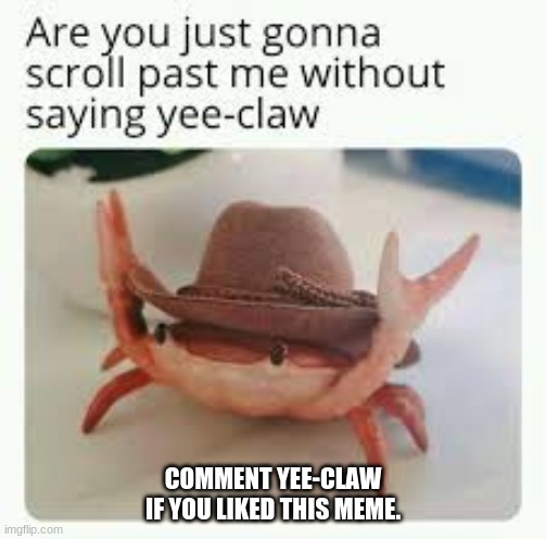 No upvote beggin (but you are more than happy to if you liked this meme) | COMMENT YEE-CLAW IF YOU LIKED THIS MEME. | image tagged in yee-claw | made w/ Imgflip meme maker