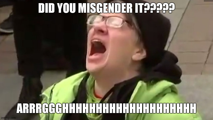 Screaming Liberal  | DID YOU MISGENDER IT????? ARRRGGGHHHHHHHHHHHHHHHHHHHH | image tagged in screaming liberal | made w/ Imgflip meme maker