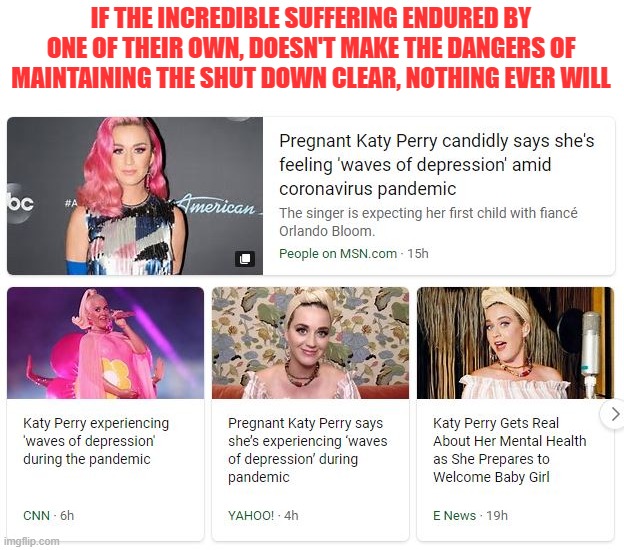 Okay snowflakes, Katy Perry has Covid-19/shutdown related suffering. SOMETHING must be done! | IF THE INCREDIBLE SUFFERING ENDURED BY ONE OF THEIR OWN, DOESN'T MAKE THE DANGERS OF MAINTAINING THE SHUT DOWN CLEAR, NOTHING EVER WILL | image tagged in covid-19,coronavirus,reopen the economy | made w/ Imgflip meme maker