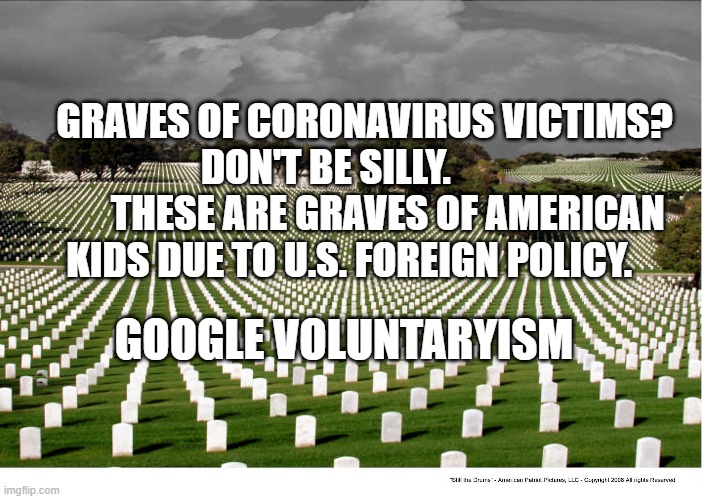 Memorial Day Sales | GRAVES OF CORONAVIRUS VICTIMS? DON'T BE SILLY.          
      THESE ARE GRAVES OF AMERICAN KIDS DUE TO U.S. FOREIGN POLICY. GOOGLE VOLUNTARYISM | image tagged in memorial day sales | made w/ Imgflip meme maker