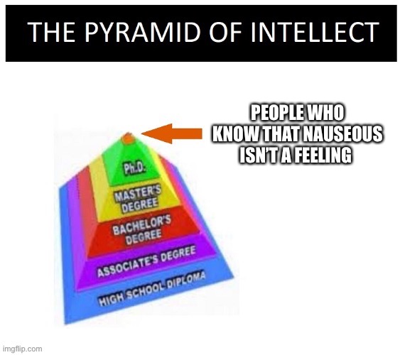 The Term Is Nauseated | PEOPLE WHO KNOW THAT NAUSEOUS ISN’T A FEELING | image tagged in pyramid of intellect | made w/ Imgflip meme maker