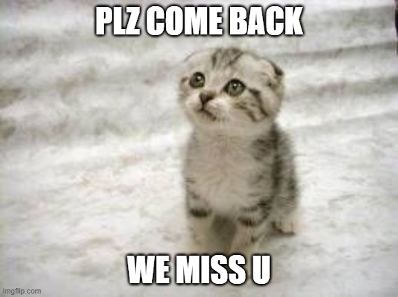 Sad Cat Meme | PLZ COME BACK WE MISS U | image tagged in memes,sad cat | made w/ Imgflip meme maker