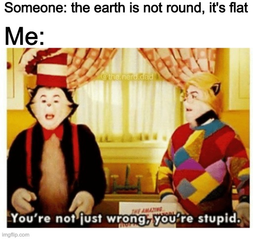 You're not just wrong your stupid | Someone: the earth is not round, it's flat; Me: | image tagged in you're not just wrong your stupid | made w/ Imgflip meme maker