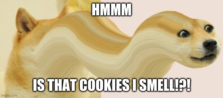 MMM COOOOKIES >:D | HMMM; IS THAT COOKIES I SMELL!?! | image tagged in long doge face | made w/ Imgflip meme maker