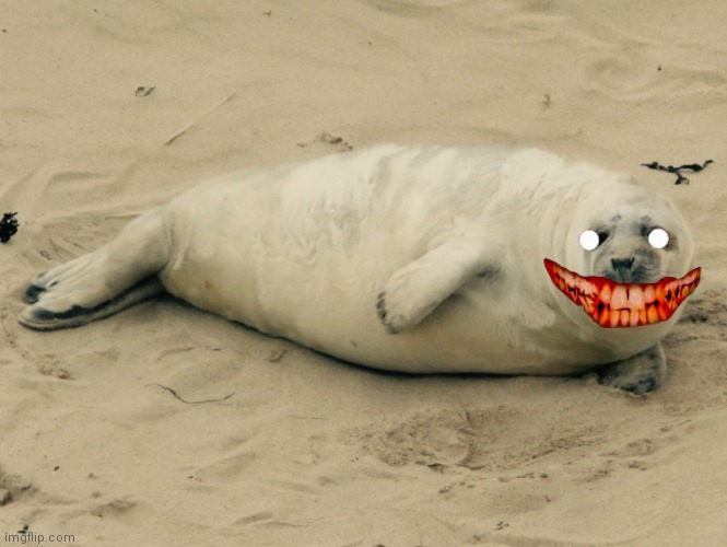 Happy seal | image tagged in happy seal | made w/ Imgflip meme maker