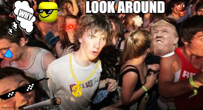 Sudden Clarity Clarence Meme | LOOK AROUND; WHY | image tagged in memes,sudden clarity clarence | made w/ Imgflip meme maker