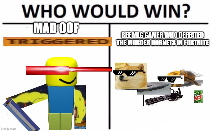 Who would win? Memes and gaming. | MAD OOF; BEE MLG GAMER WHO DEFEATED THE MURDER HORNETS IN FORTNITE | image tagged in memes,who would win,doge,mlg,oof,gaming | made w/ Imgflip meme maker